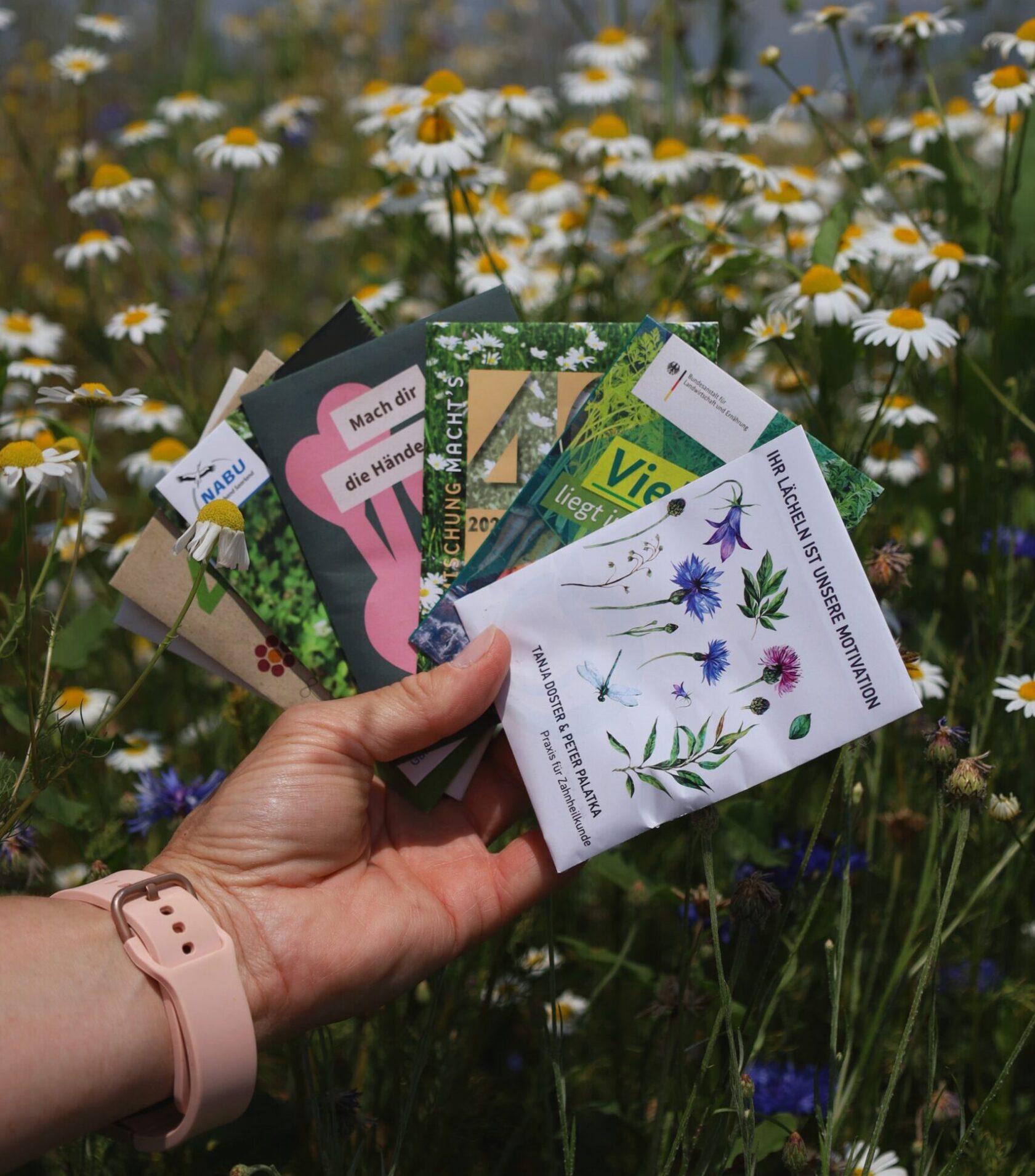 Individuelle Samentüten als Werbegeschenk